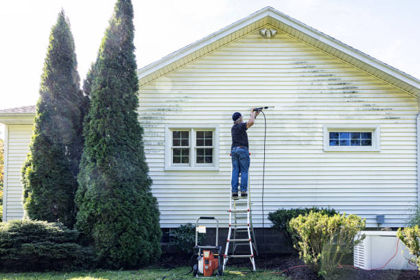 Best Fence Cleaning and Maintenance in Brewton, AL